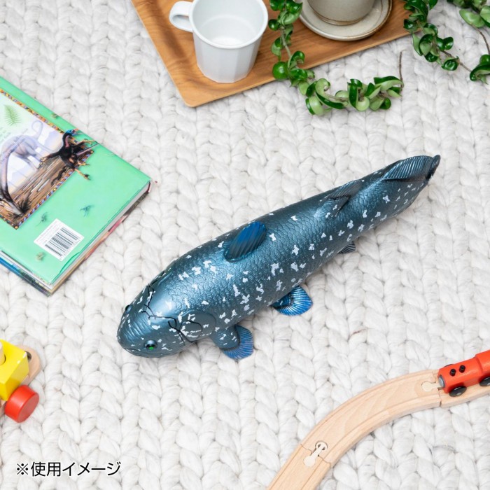 フィギュア 模型 古代生物 ディスプレイ コレクション 魚
