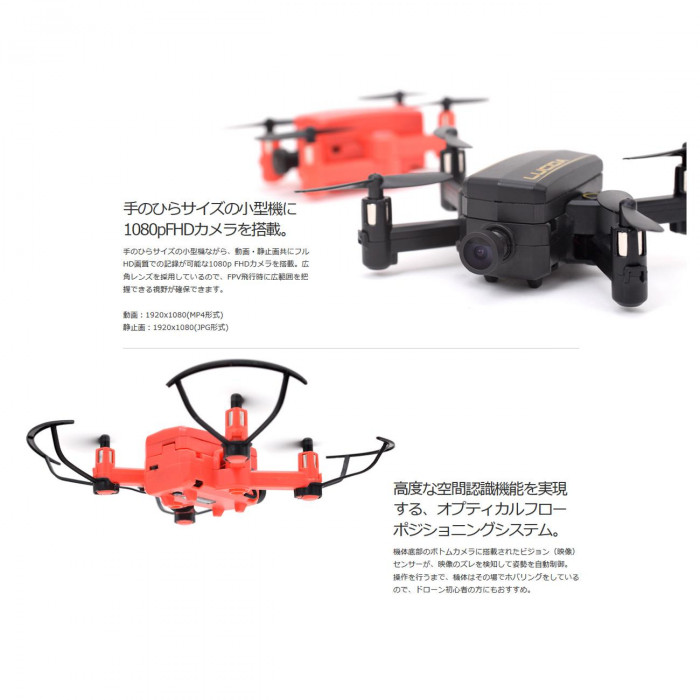 G-FORCE ジーフォース LUCIDA(Red) GB121 : オーバーフラッグスポーツ