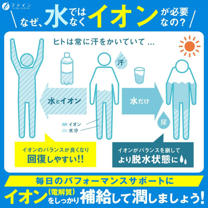 [まとめ得] ファイン イオンドリンク乳酸菌プラス 500ml用×20本 x 5個セット