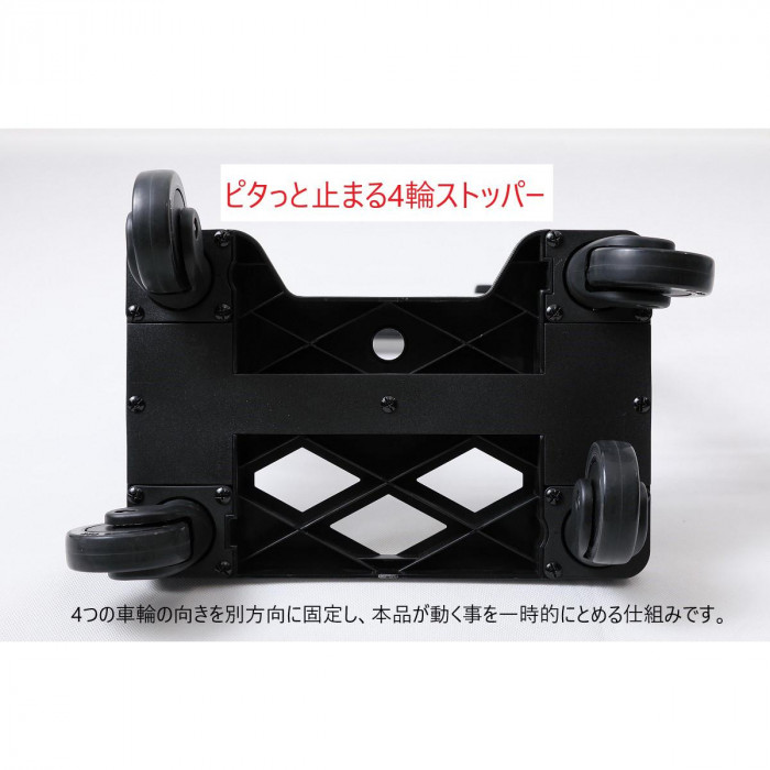 SWANY スワニー キャリーバッグ D-571 ルーミィ― (M18) ピンクベージュ 57151 