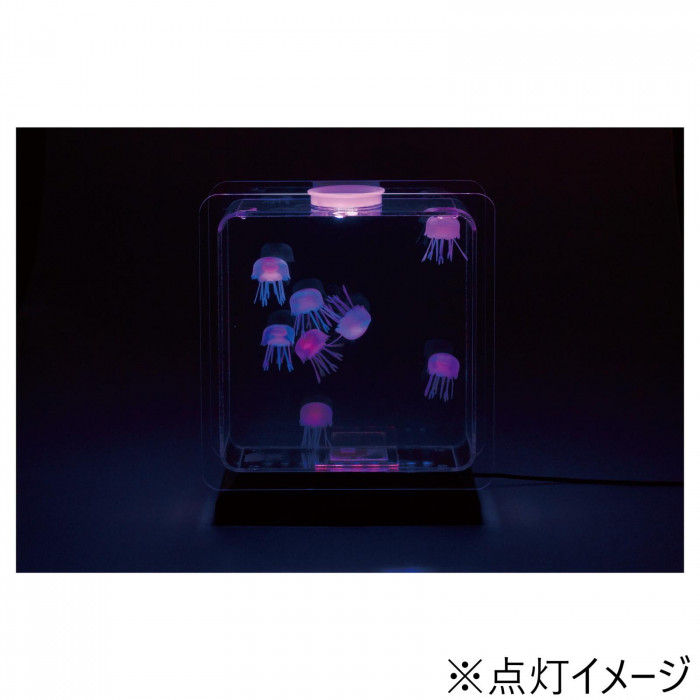 イシグロ アクアリウム ミニクラゲ スクエアM イシグロ アクアリウム ミニクラゲ スクエア M 18158 1個（直送