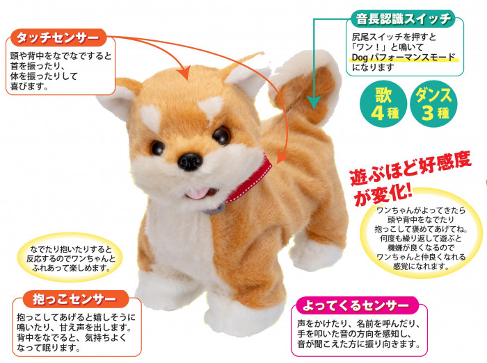 福袋 セール おいで!おいで!よってくる!部屋ともワンちゃん 通販奉行 : 柴犬 その他