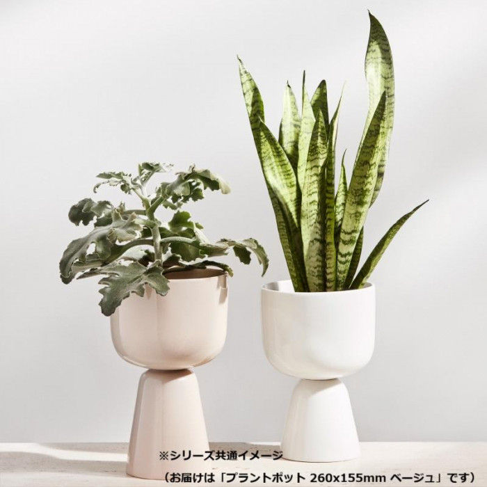 A） Iittala イッタラ ナップラ プラントポット 260x155mm ベージュ