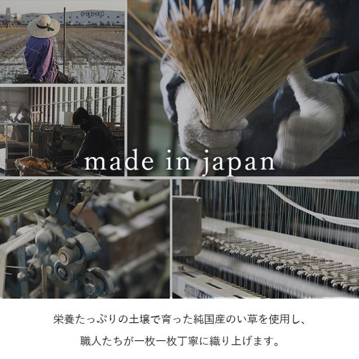 ブロック い草ラグ 191×250cm ライトグレー 1050980303904 : ブング