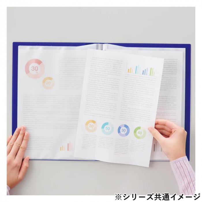 LIHIT LAB.(リヒトラブ) CUBE FIZZ クリヤーブック サイドベンツ A4/A3