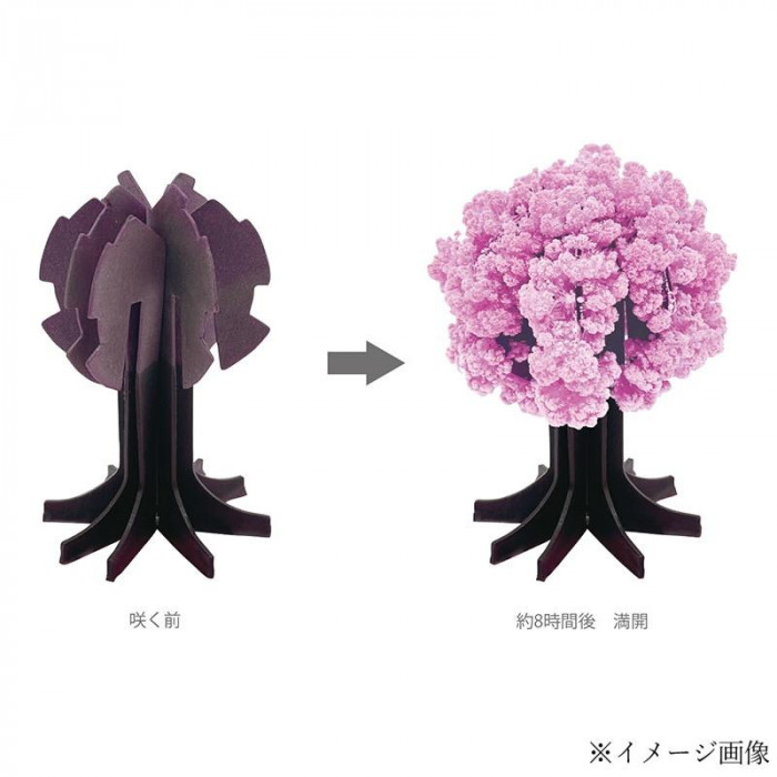 桜の都 39-385 : ブングショップヤフー店 - 通販 - Yahoo!ショッピング