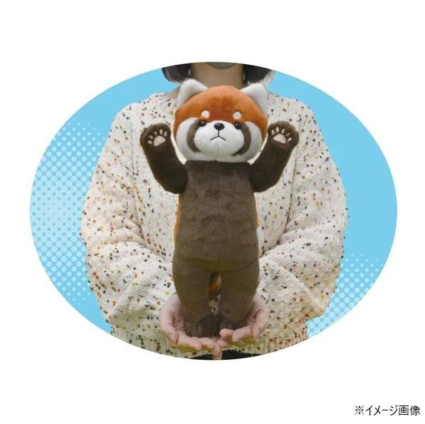 ぱきぽきずぅ レッサーパンダ 11949 : シャイニングストア - 通販