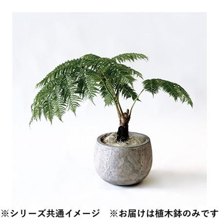 グリーンポット 植木鉢 フリット バルーン アンティーククリーム 32cm