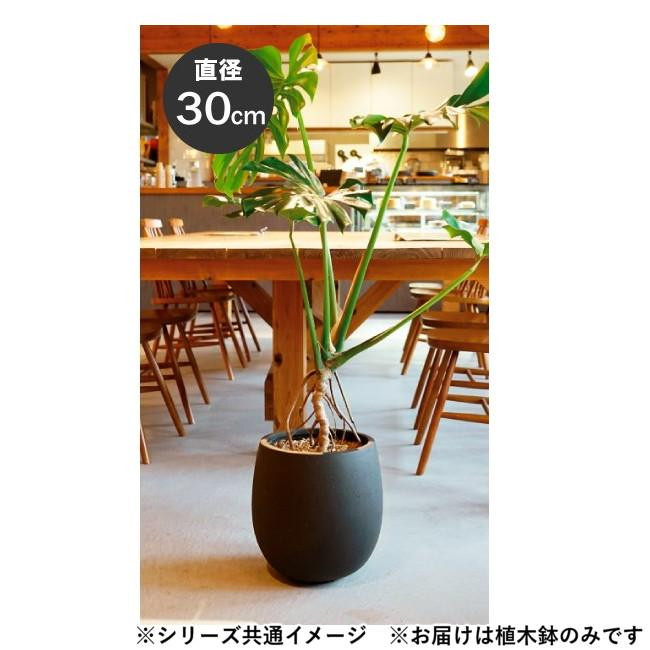 グリーンポット 植木鉢 テラニアス バルーン アンティークホワイト