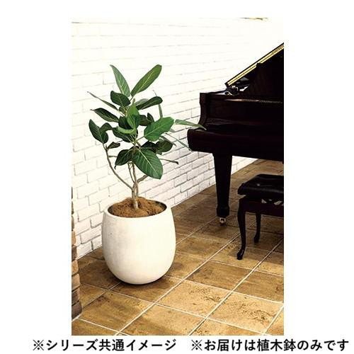 Balloon コンクリート鉢 EB-TB3535AW グリーンポット 植木鉢 テラニアス バルーン アンティークホワイト