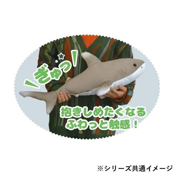 サメぬいぐるみ(ネコザメ) 12269 : CARSBAY - 通販 - Yahoo!ショッピング