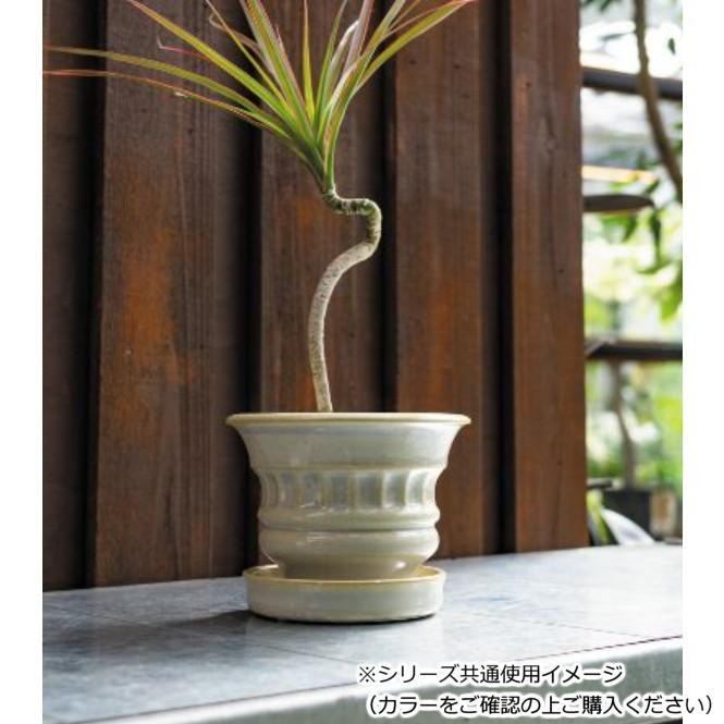グリーンポット 植木鉢 ティエラ アイアンブラック 13cm CP-4313IB 4個
