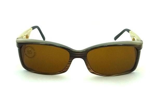 エッシェンバッハ ウェルネス・プロテクト 遮光眼鏡 ブラウン小