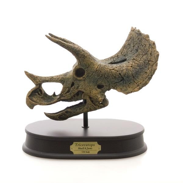 Dinosaur Skull Jaws Model 恐竜 トリケラトプス スカル ジョーズモデル Fd652 8043bq お多福 通販 Yahoo ショッピング