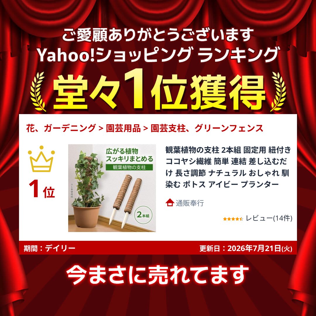 観葉植物の支柱 2本組 固定用 紐付き ココヤシ繊維 簡単 連結 差し込むだけ 長さ調節 ナチュラル おしゃれ 馴染む ポトス アイビー プランター 関連画像1