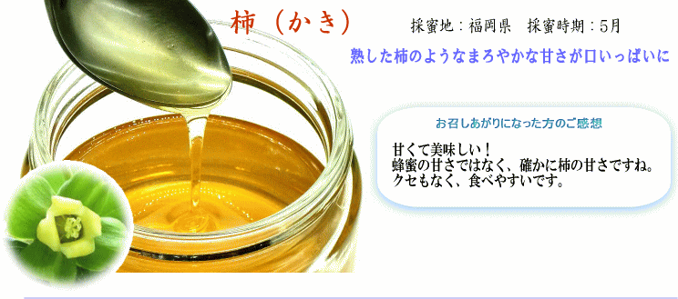 完璧 国産はちみつ 柿 450g 美味しいハチミツ 安全な蜂蜜 はちみつ