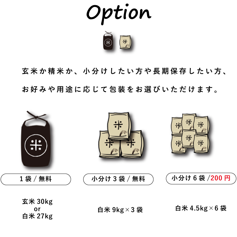 新米 クーポンご利用で10180円！米 お米 30kg くまさんの輝き 熊本県産