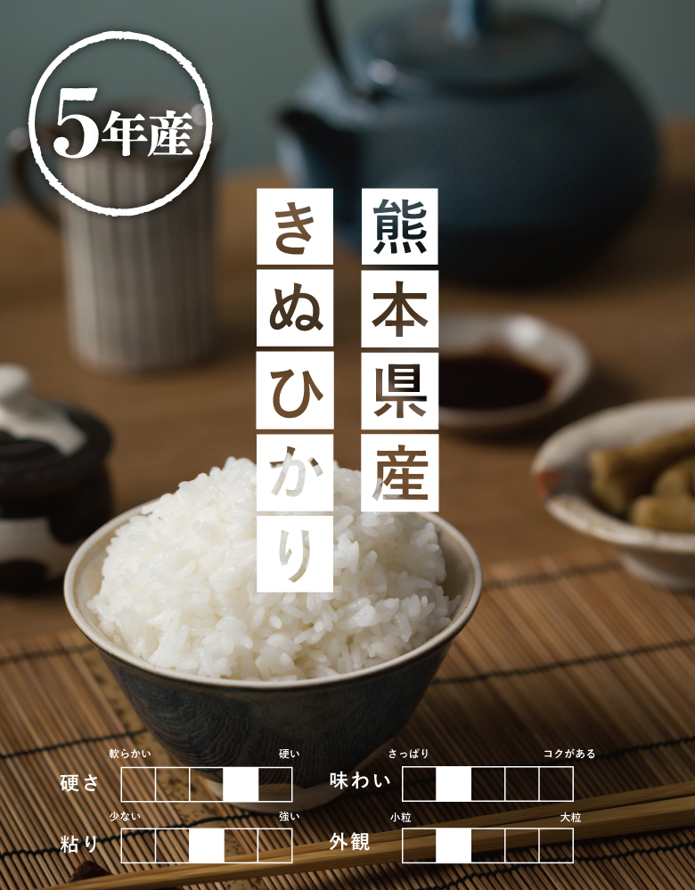 米 お米 10kg キヌヒカリ 熊本県産 令和5年産 5kg×2袋 きぬひかり