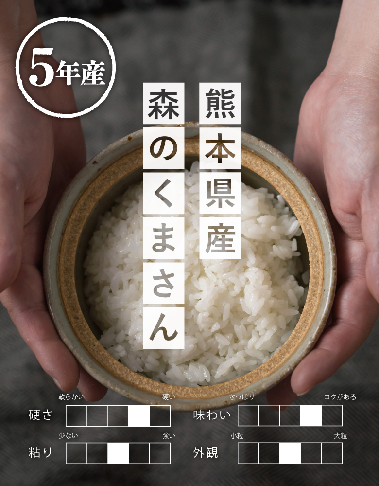 破格！ 米 お米 10kg 森のくまさん 熊本県産 令和5年産 5kg×2袋