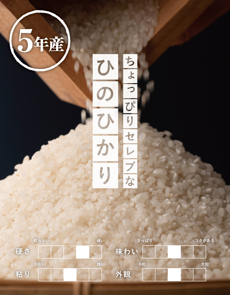 米 お米 30kg ちょっぴりセレブなヒノヒカリ 国内産 令和5年産 玄米30kg 精米27kg ひのひかり