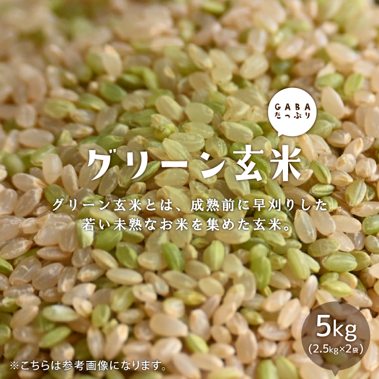 グリーン玄米 5kg 国内 産 ダイエット 2.5kg×2袋 自然の 蔵 若い 未熟な 玄米 5年産 青玄米