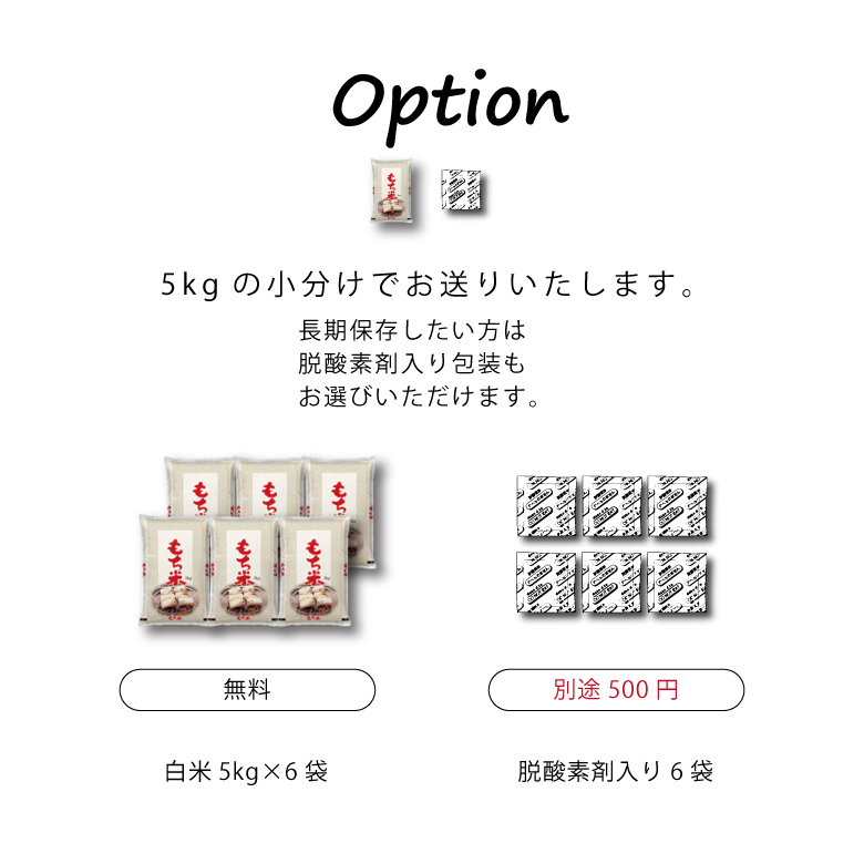 新米 米 もち米 精米30kg ヒヨクモチ 熊本県産 令和5年産 30kg