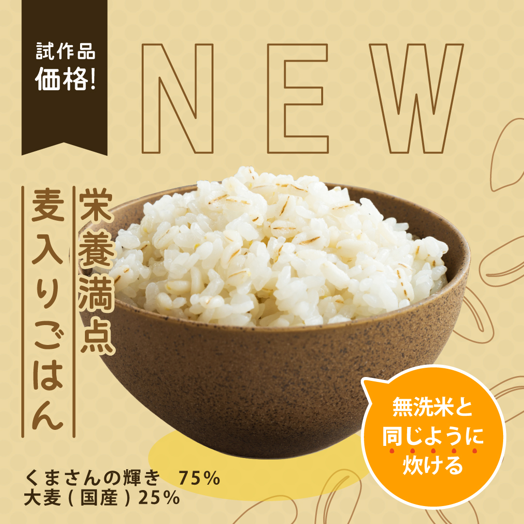 米 お米 10kg くまさんの輝き 熊本県産 令和7年産 5kg×2袋 : こめたつ
