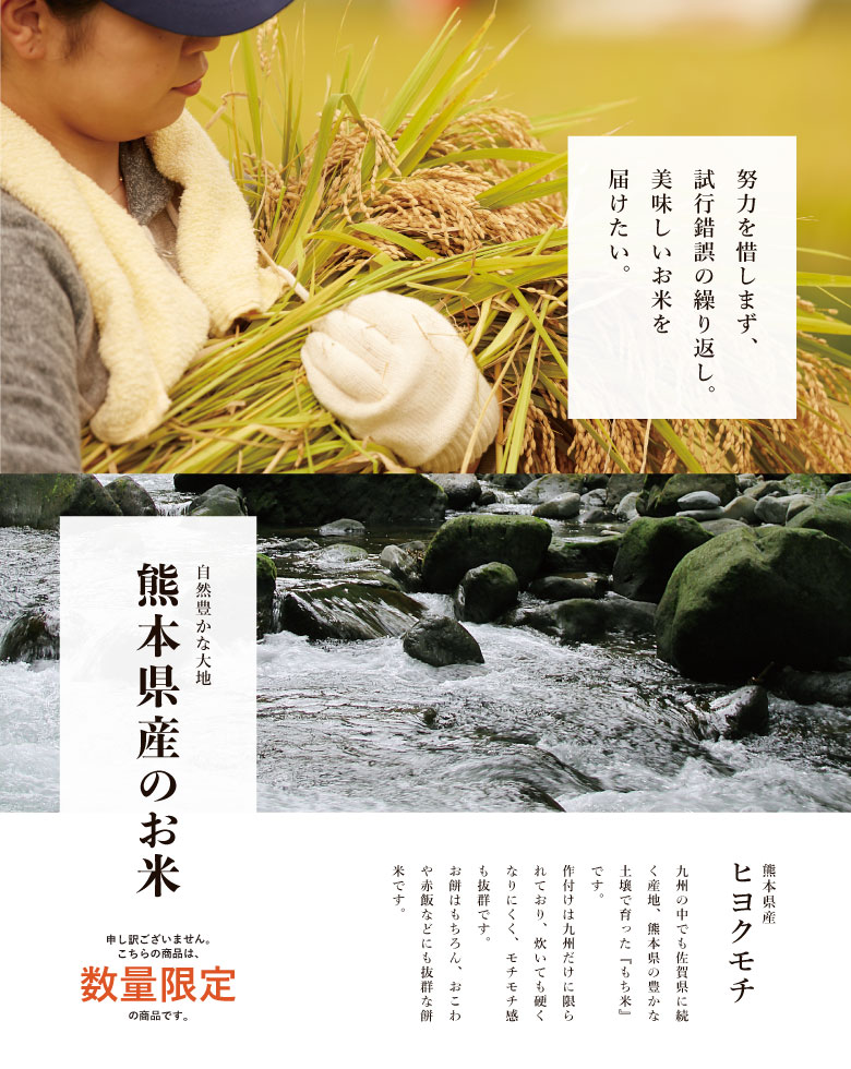 新米 米 もち米 精米20kg ヒヨクモチ 熊本県産 令和5年産 20kg