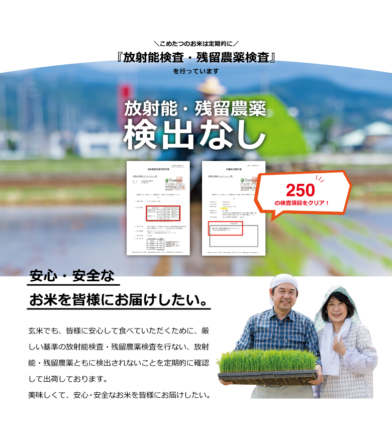 新米 米 お米 30kg ヒノヒカリ 熊本県産 令和5年産 玄米30kg 精米27kg