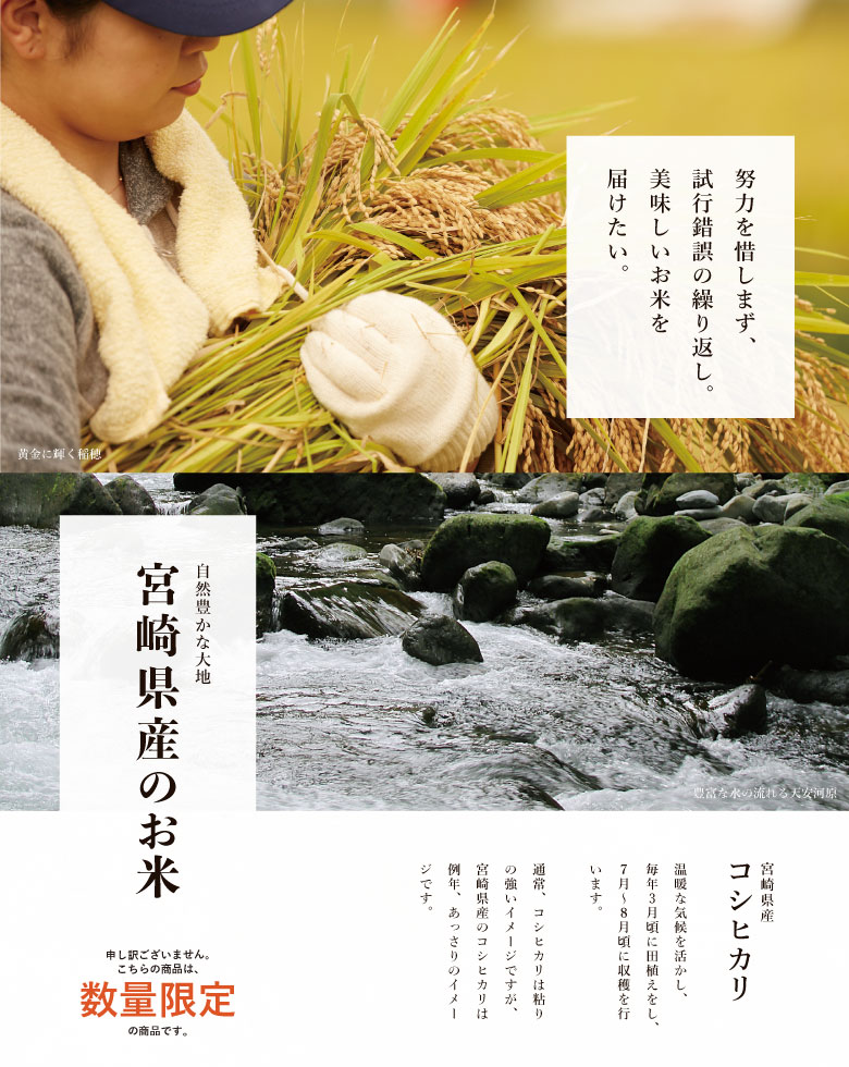 新米 米 お米 30kg コシヒカリ 宮崎県産 令和5年産 玄米30kg 精米27kg こしひかり