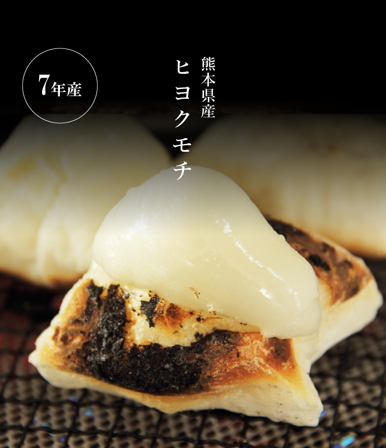 ヒヨクモチ 【暮らし応援価格】米 もち米 精米5kg 熊本県産 令和7年産