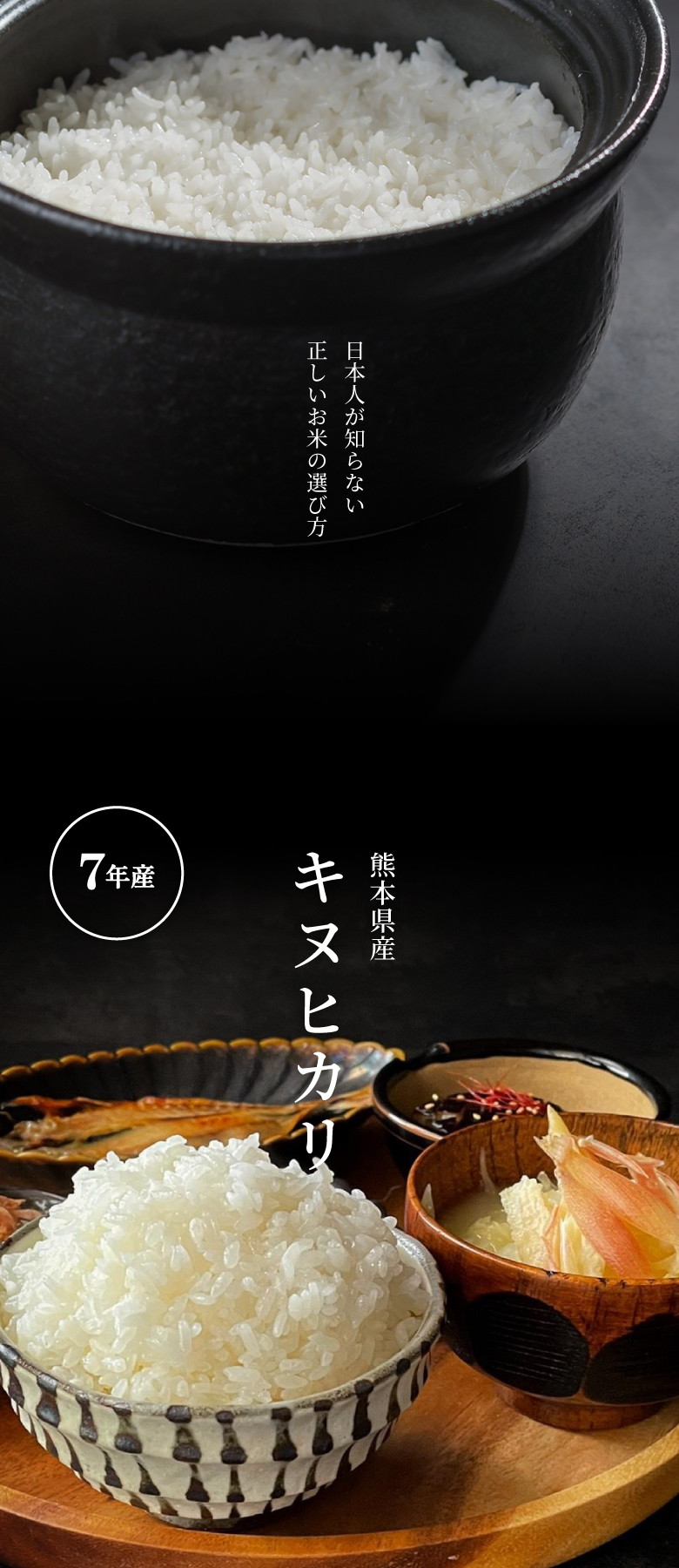 キヌヒカリ 米 お米 20kg 熊本県産 令和7年産 玄米20kg 精米18kg きぬ