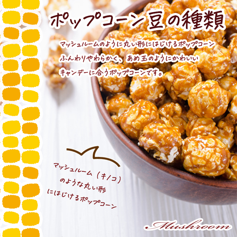 フレーバーポップコーン カナダ産【カナディアンメープル