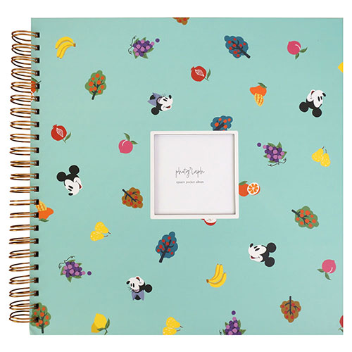 アルバム 大容量 【WEB限定品】ナカバヤシ ディズニー 窓抜き ましかく