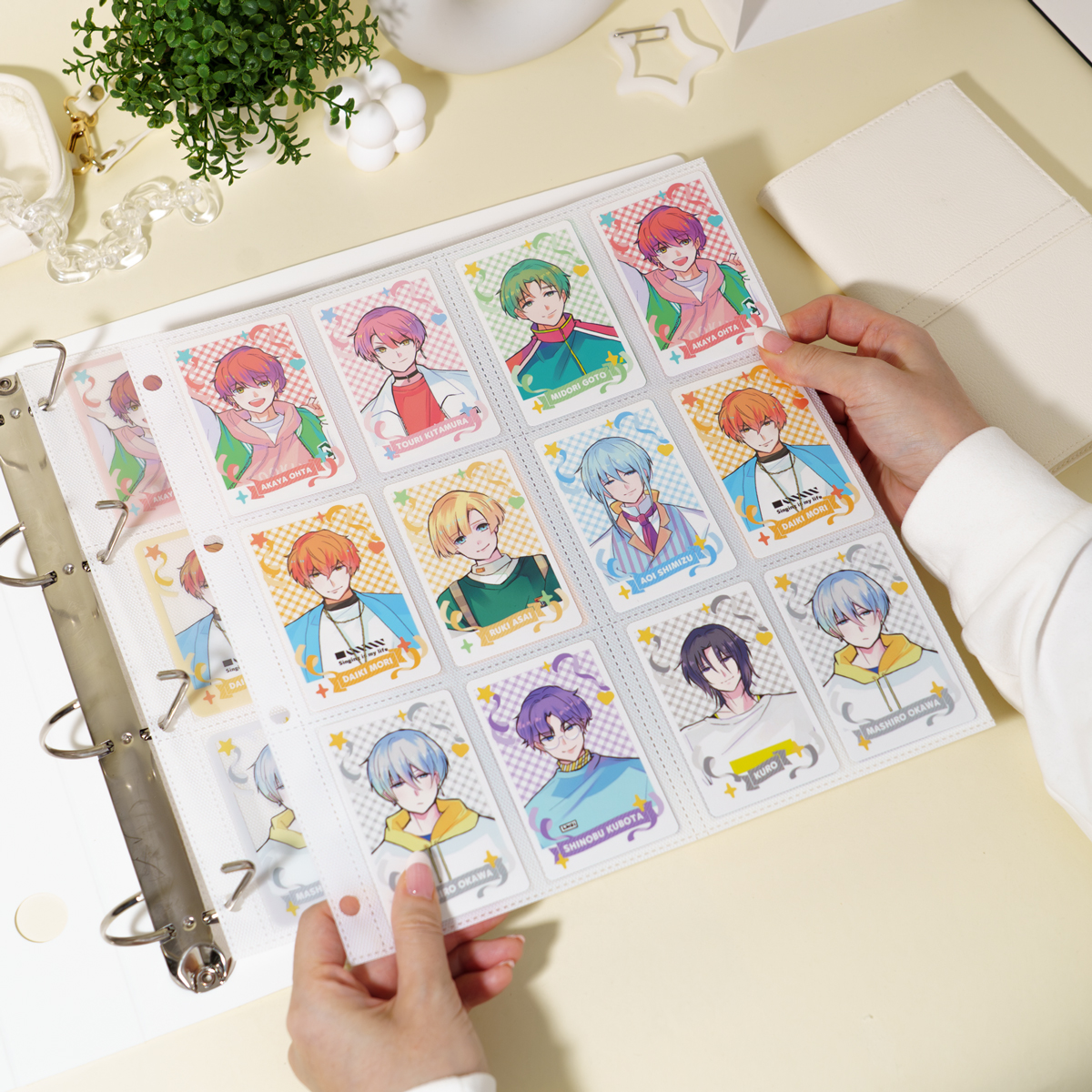 イレール アルバムリフィル 12ポケット（両面） チェキサイズ用