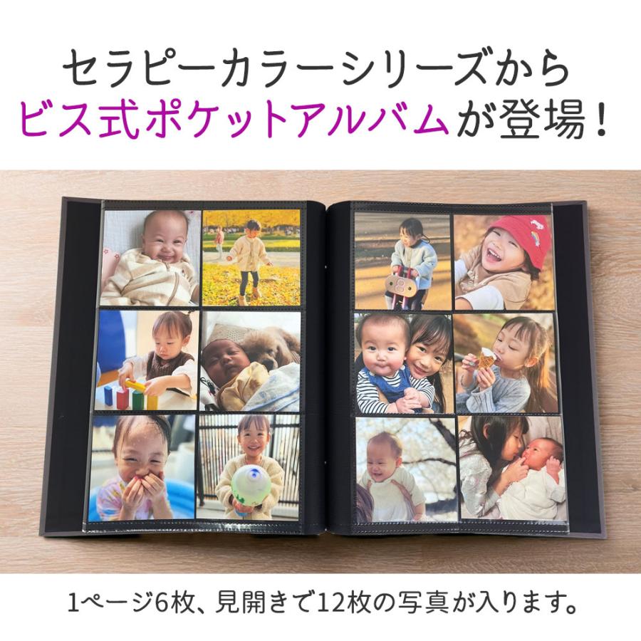 ナカバヤシ 【WEB限定品】ナカバヤシ セラピーカラー ビス式