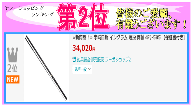 宇崎日新 イングラム 遠投 両軸 4号-585 【保証書付き】 : 釣具