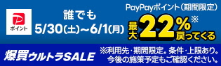 DAIWA（ダイワ） （22年5月新商品） 22 シルバーウルフ SV TW PE