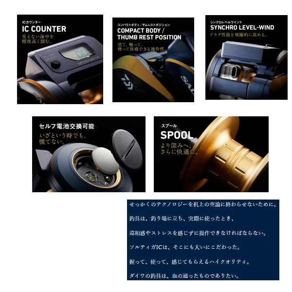 DAIWA（ダイワ） （21年5月新商品） ソルティガ IC 300L(左) （小型