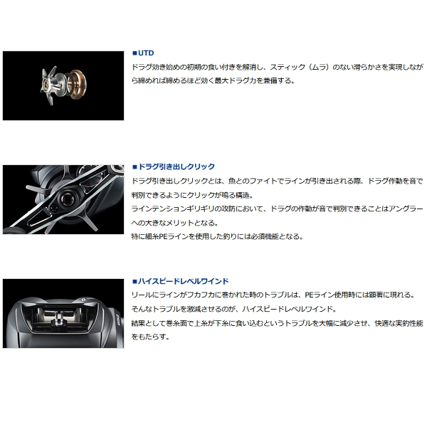 DAIWA（ダイワ） （22年5月新商品） 22 シルバーウルフ SV TW PE