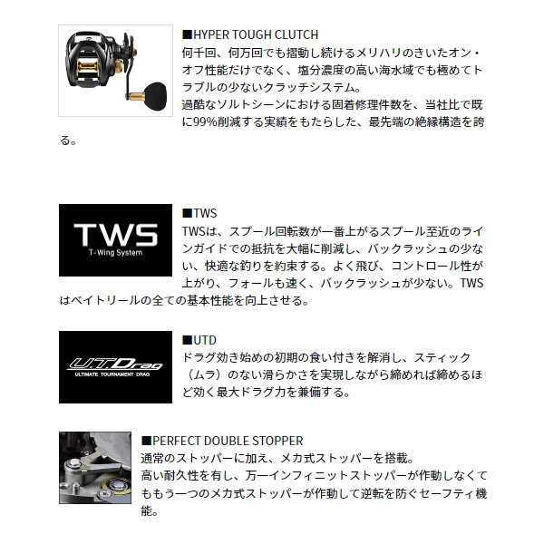 DAIWA（ダイワ） （23年7月新商品） シーホーク TW 遠投 （小型商品