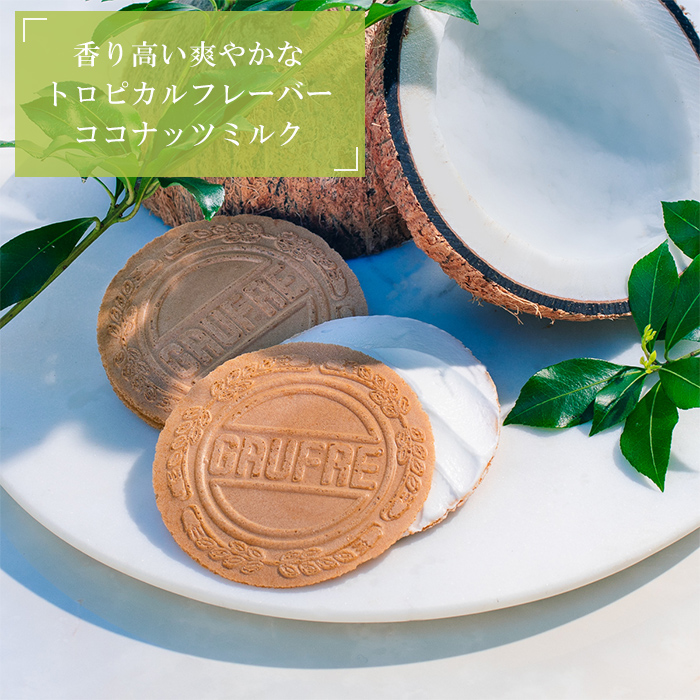 プティゴーフル サマー　ココナッツ