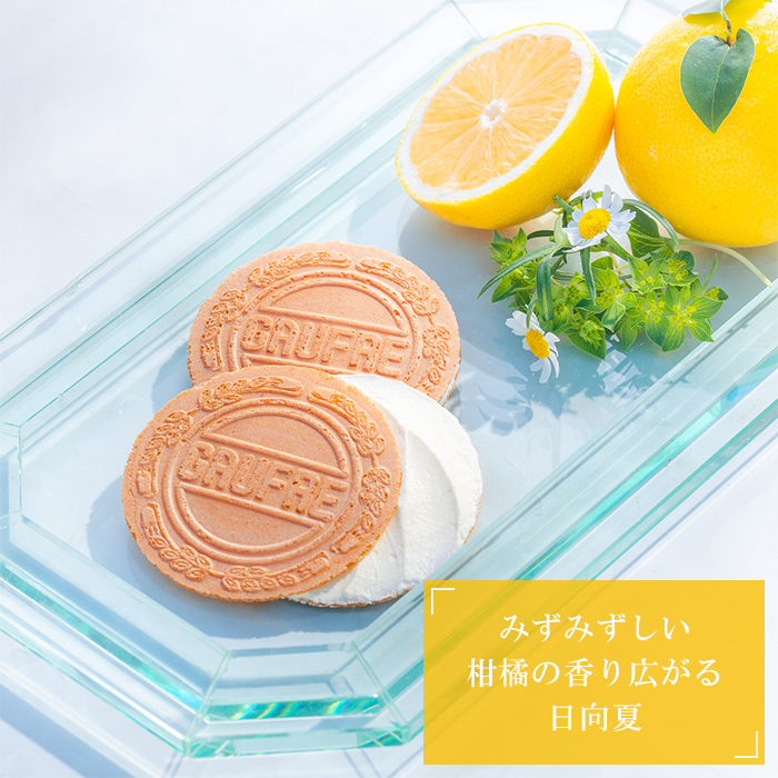 プティゴーフル サマー　日向夏