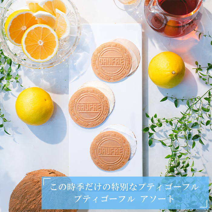 プティゴーフル サマー