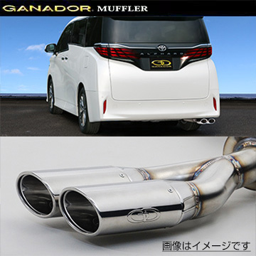 tXւ̔ő GANADOR Kih[ }t[ PASION EVO R5/6` AGH40W At@[h PAS-107 (lEꗣ͕ʓr)