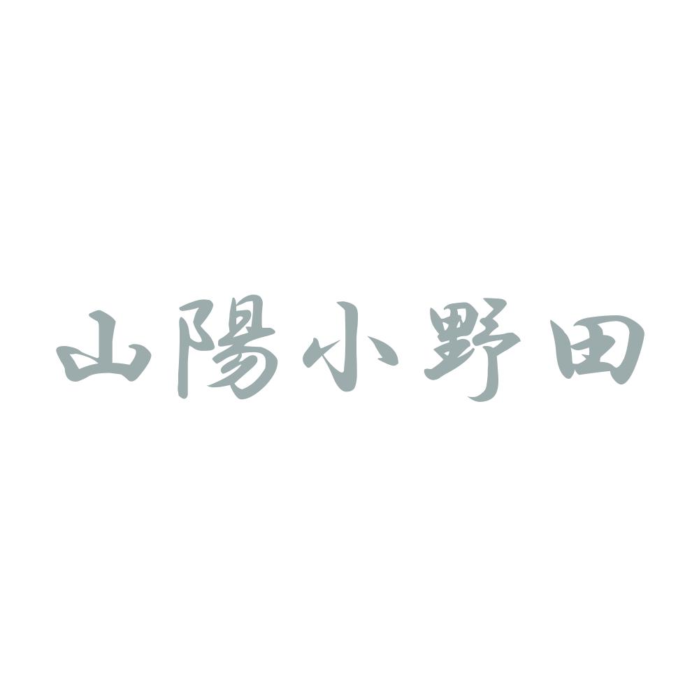 カッティングステッカー 山陽小野田 サイズ選択可 山口県 市区町村 漢字 かっこいい｜fuji-works｜06