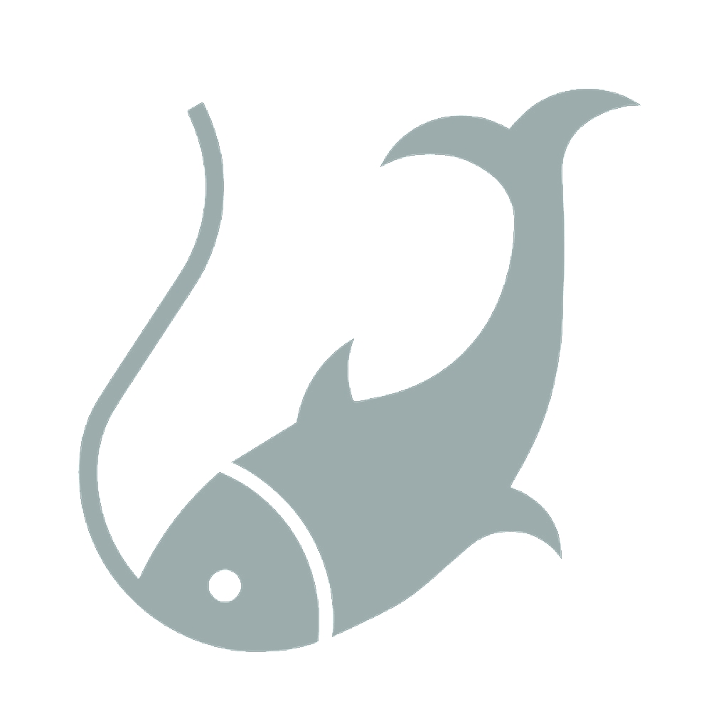カッティングステッカー 魚(タイプB) サイズ選択可 釣り 釣竿 クーラーボックス フィッシング