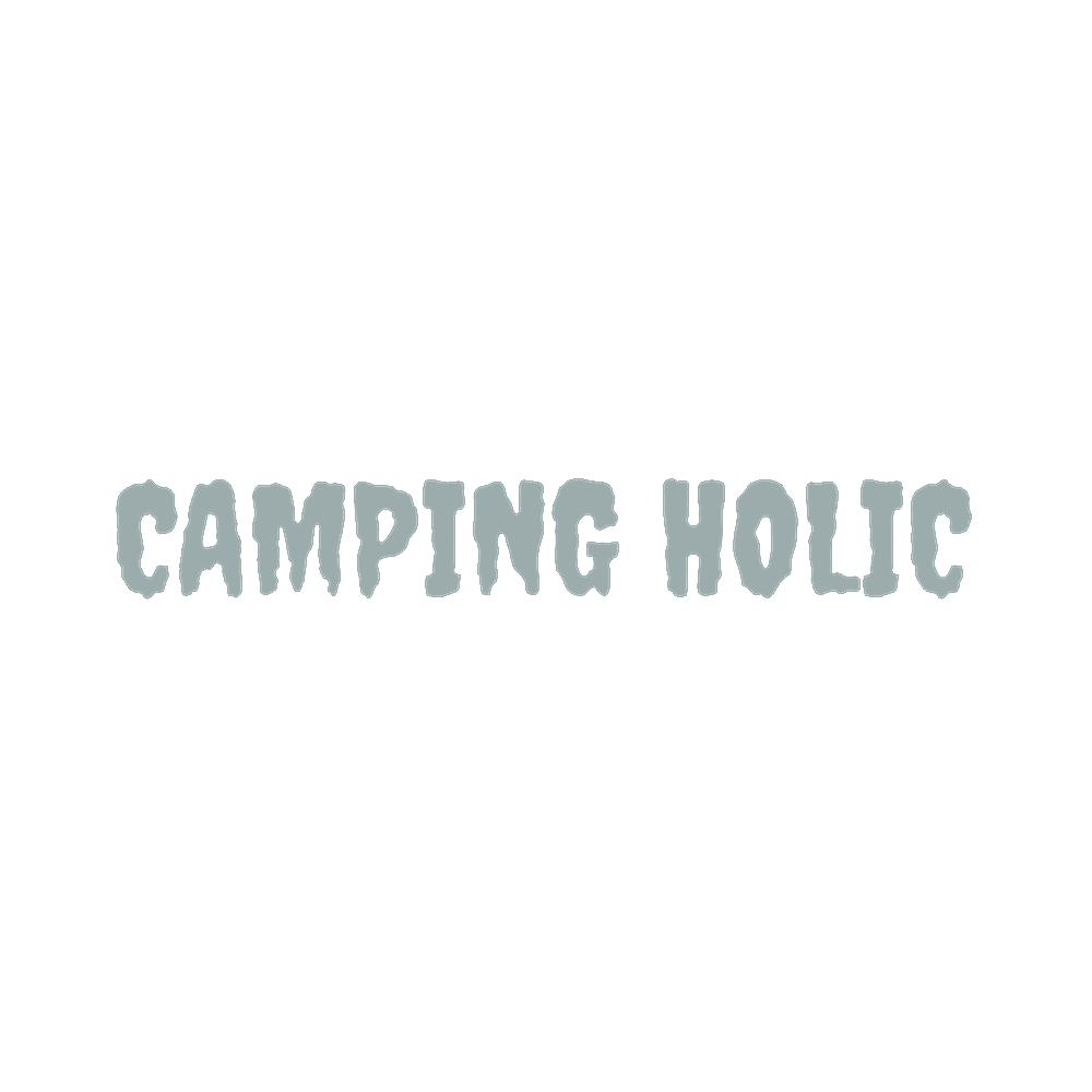 カッティングステッカー CAMPING HOLIC(キャンプ中毒) サイズ選択可 キャンプ依存症 車...