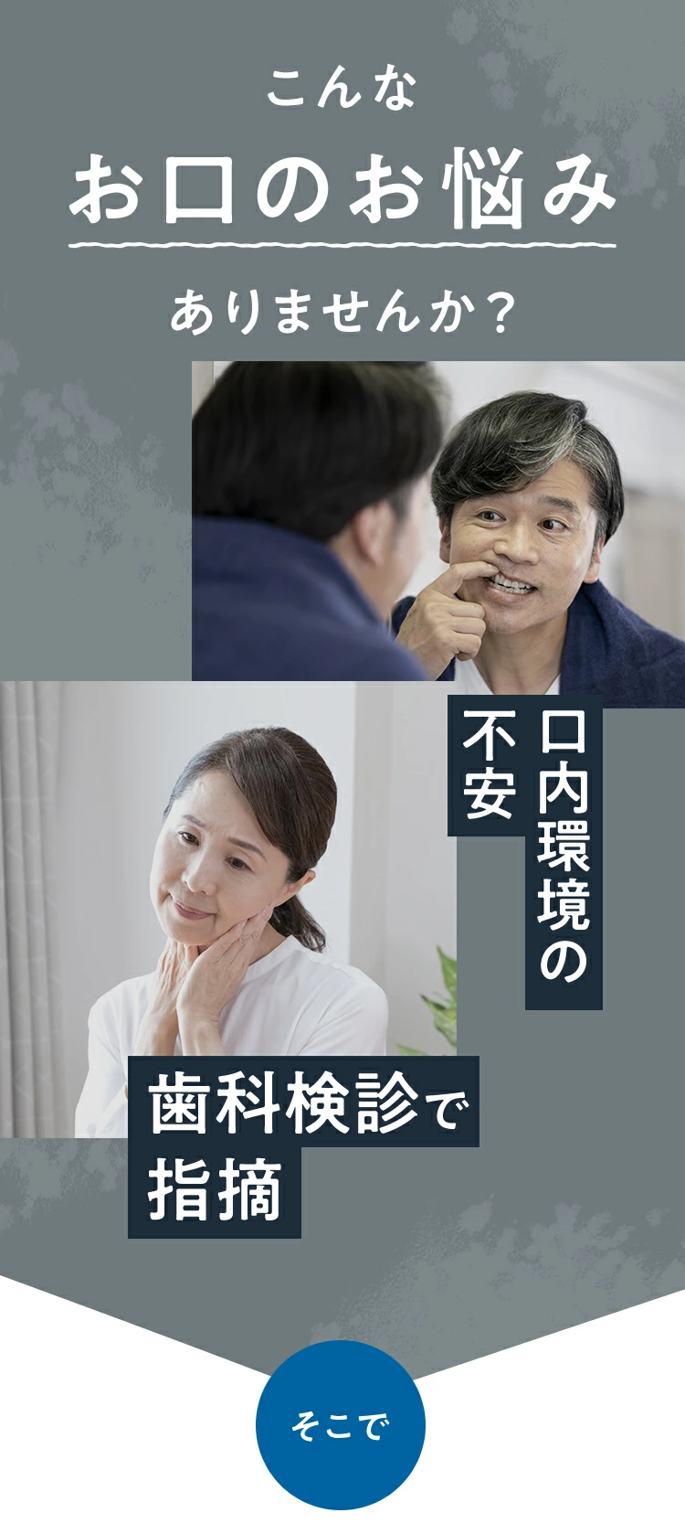 公式】 フジッコ デンタフローラ 3袋セット（1袋31粒入り） L8020