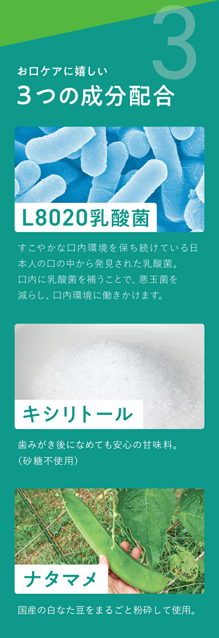 公式】 フジッコ デンタフローラ 3袋セット（1袋31粒入り） L8020